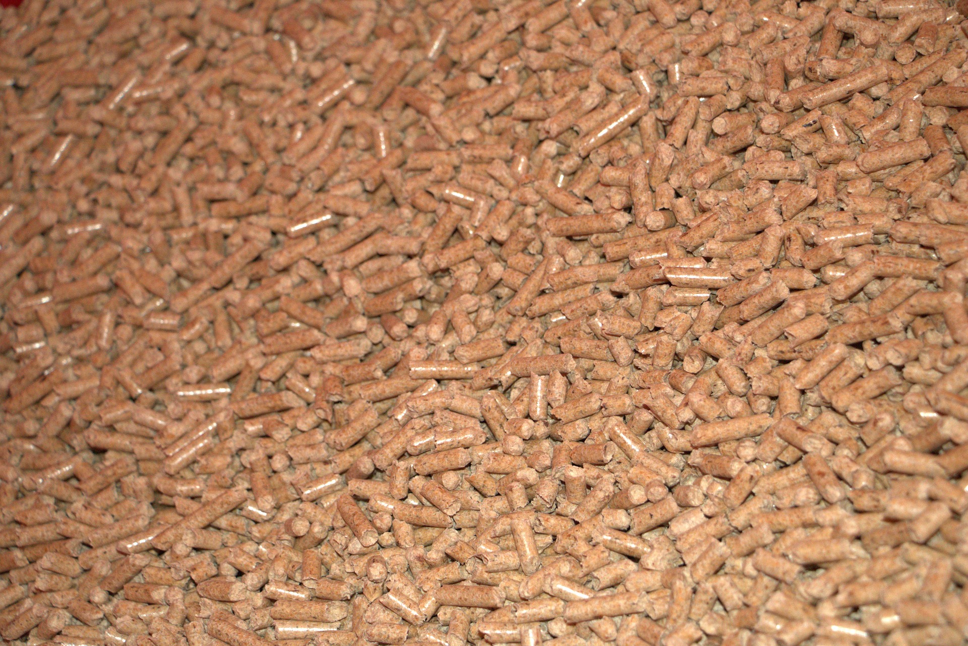 Pellet Drzewny